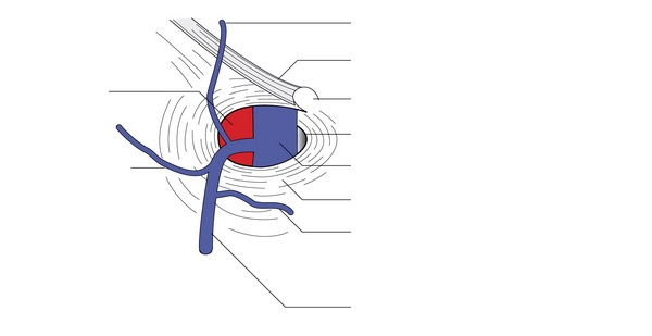 Figure 48.2