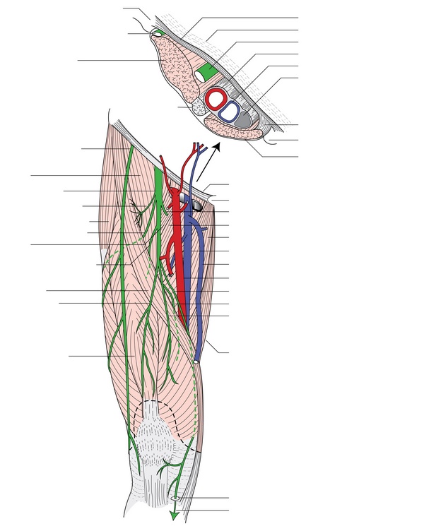 Figure 49.1