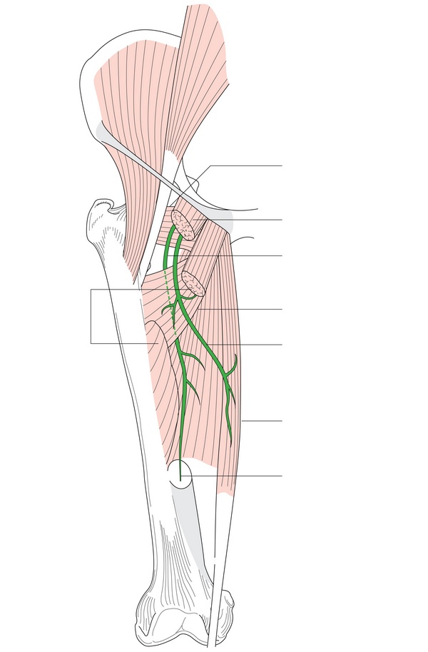 Figure 49.2