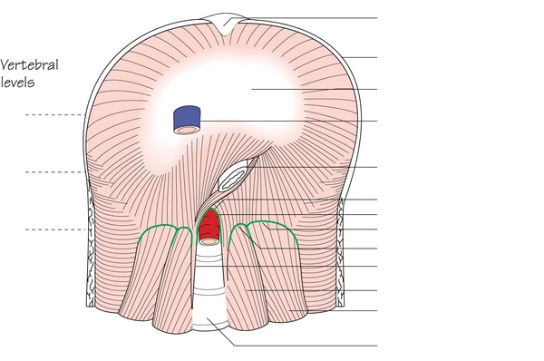 Figure 4.3