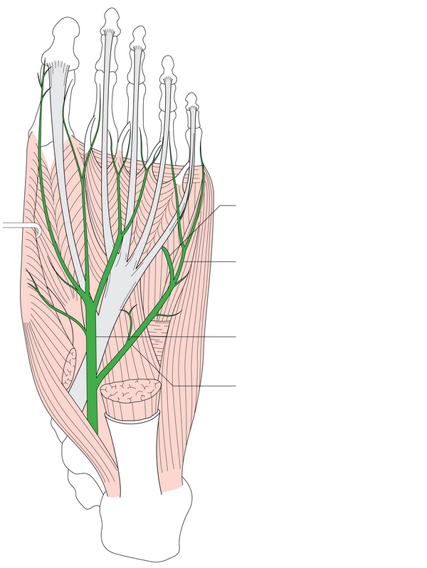 Figure 50.3