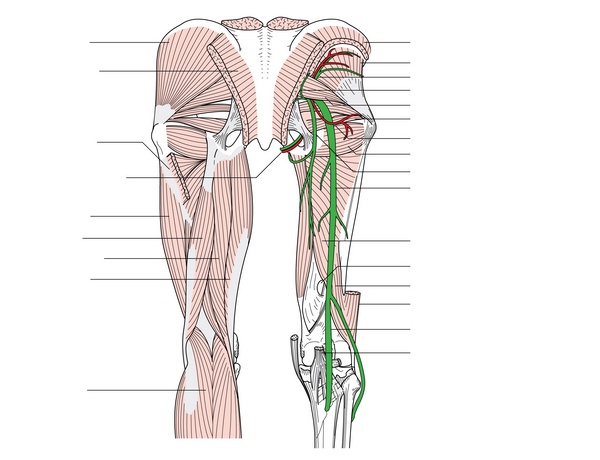 Figure 51.4