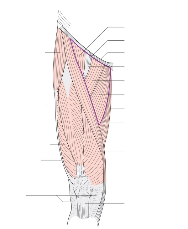 Figure 52.1