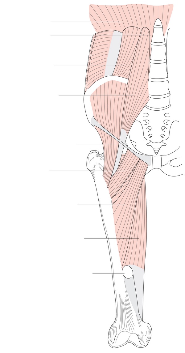 Figure 52.2