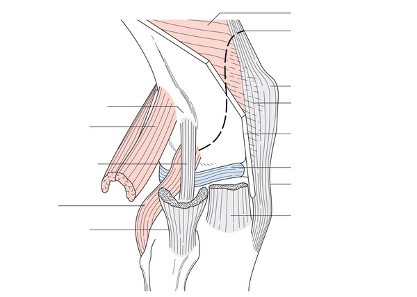 Figure 53.2