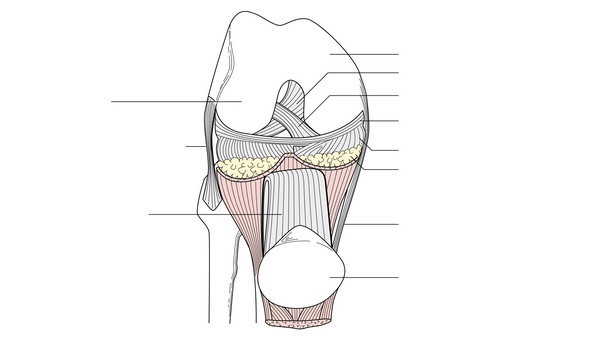 Figure 53.4