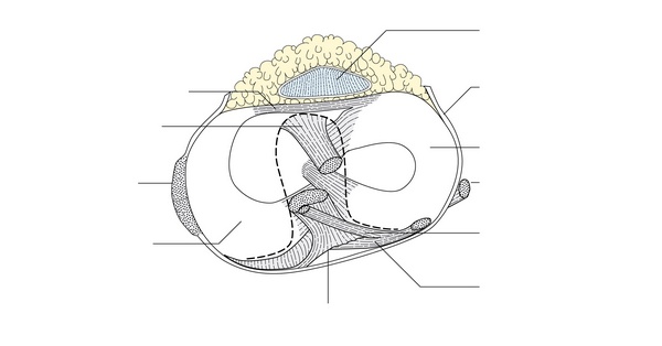 Figure 53.5