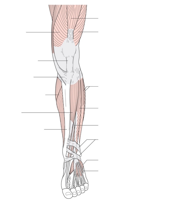 Figure 54.1