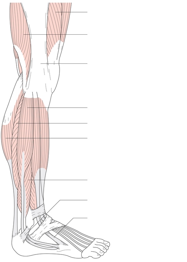 Figure 54.2