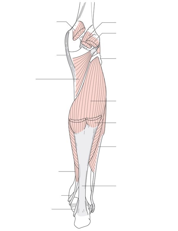 Figure 54.3