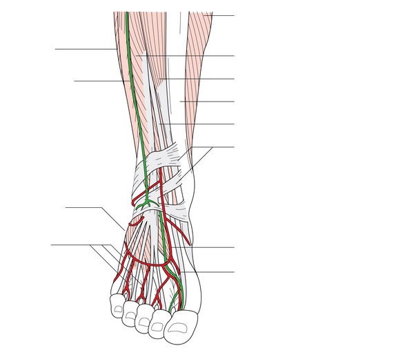 Figure 56.1