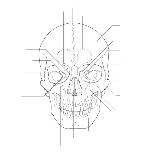 The Anatomy at a Glance - by Omar Faiz, Simon Blackburn and David Moffat