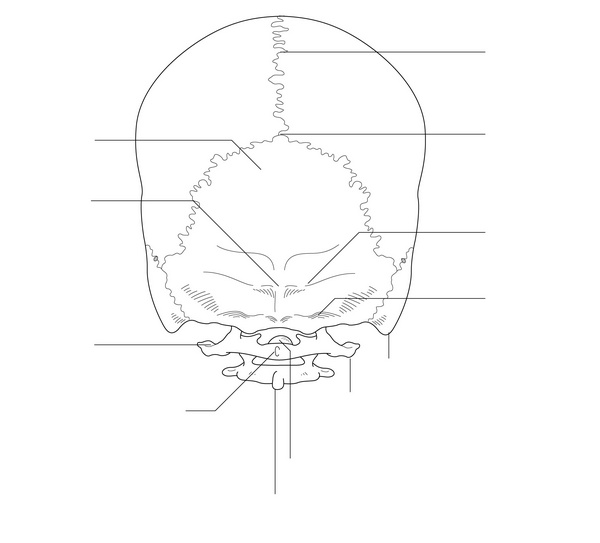 Figure 59.3