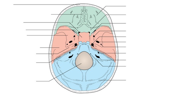 Figure 59.4