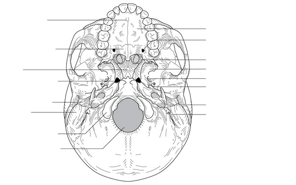 Figure 60.1