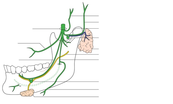 Figure 62.3