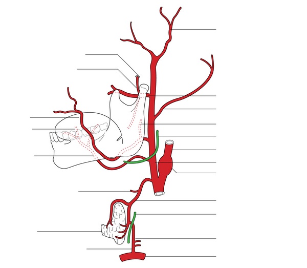 Figure 64.1