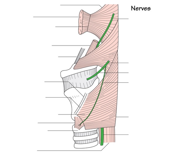 Figure 67.1