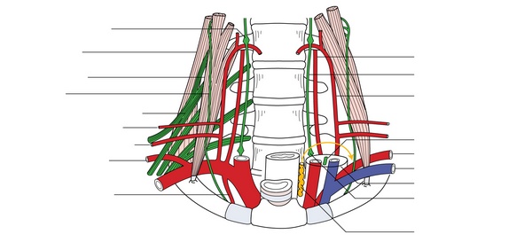Figure 68.1