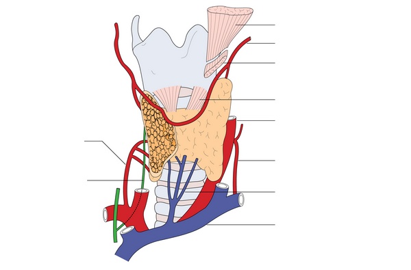 Figure 69.1