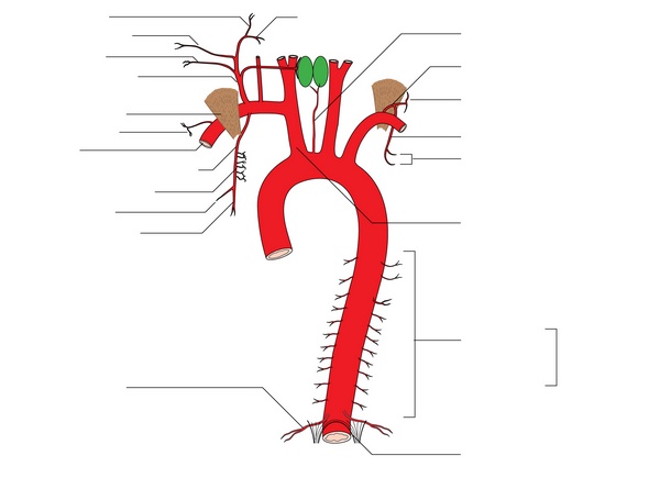 Figure 6.1