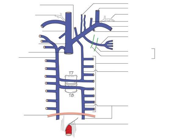 Figure 6.2