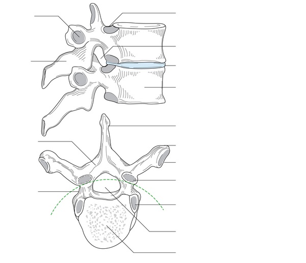 Figure 77.3