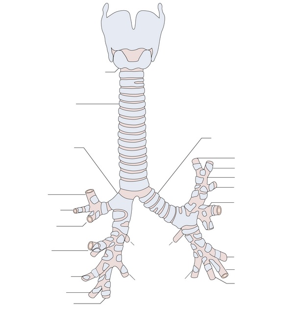 Figure 7.2