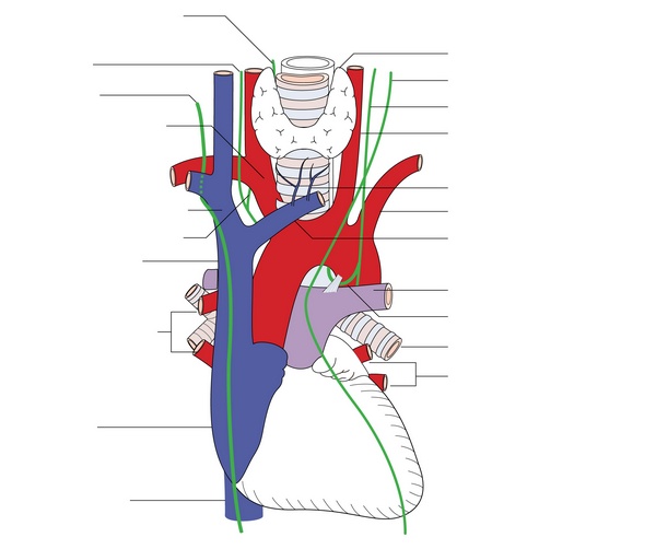 Figure 9.1